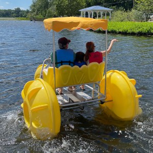 Paddling boat rentals at Park Lake